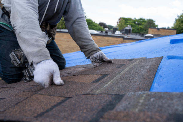 Best Emergency Roof Repair  in Heflin, AL
