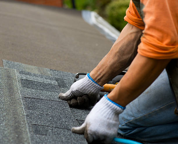 Best Storm Damage Roof Repair  in Heflin, AL